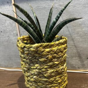 Handmade Sabai Round Planter - 5" height 4" diameter