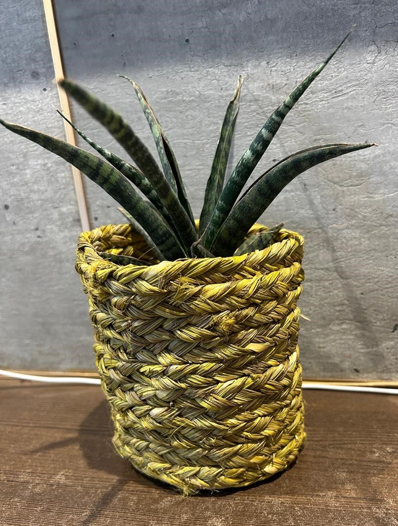 Handmade Sabai Round Planter - 5" height 4" diameter